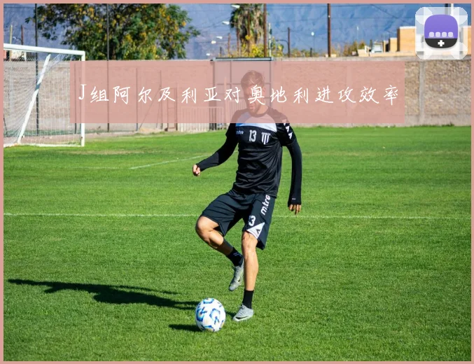 J组阿尔及利亚对奥地利进攻效率