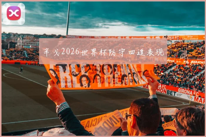 辛戈2026世界杯防守回追表现