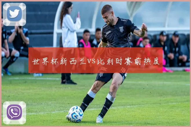 世界杯新西兰vs比利时赛前热度